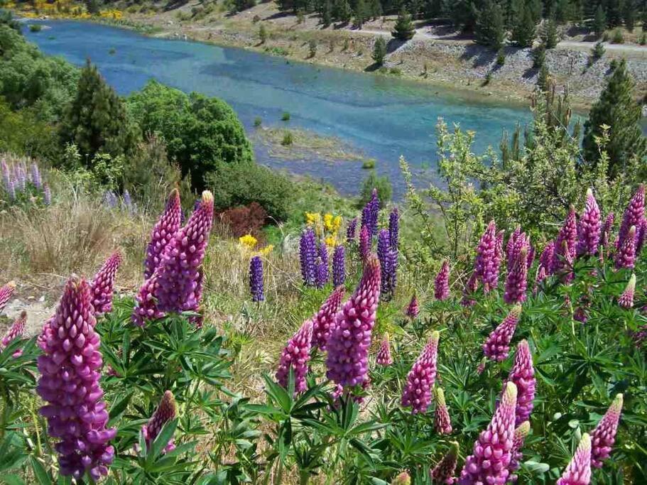 Tekapob2 Lakeview Apartment Lac Tekapo Extérieur photo